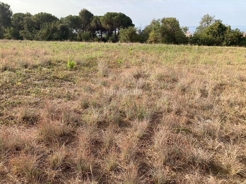 Foto 0988bf97-6284-43ae-b833-a1bef97fbc51. Propriété dans Can Carreras - Montessol Pineda de Mar