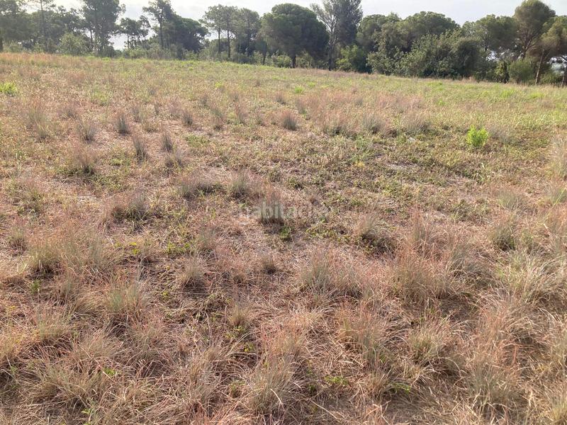 Foto 8e6207d7-f87c-4c10-97b0-f69d5d9c0d8c. Propriété dans Can Carreras - Montessol Pineda de Mar