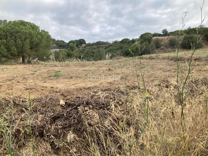 Foto b846b2a6-6cc6-4c43-ab35-ee8b4e2f7ba8. Propriété dans Can Carreras - Montessol Pineda de Mar