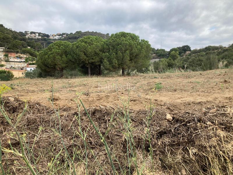 Foto c378df5e-dcf1-4a62-bcdc-4f79d10e3f34. Propriété dans Can Carreras - Montessol Pineda de Mar