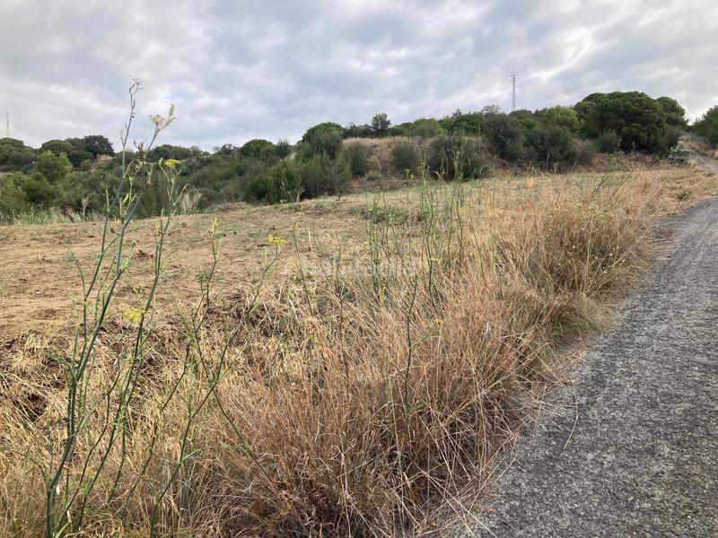 Foto d535847d-5865-424c-a090-bc629eedd48a. Propriété dans Can Carreras - Montessol Pineda de Mar