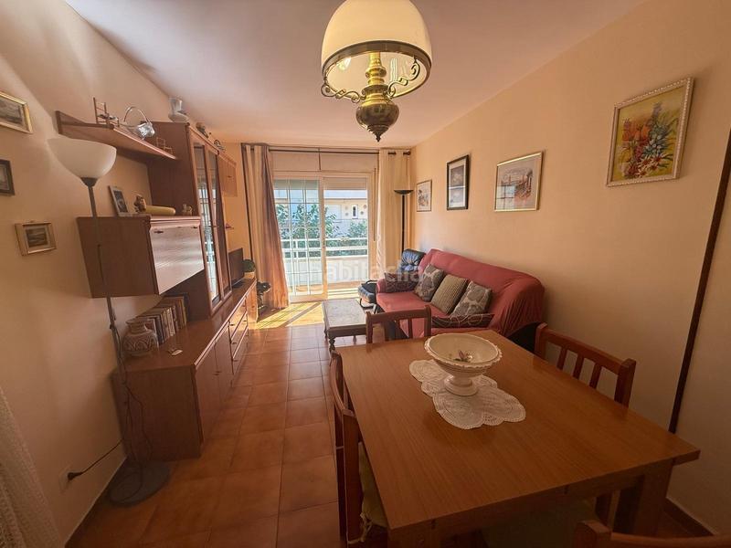 Foto 63a38c6b-3e1a-400e-b37a-11a3d352e94c. Pis a Centre Pineda de Mar