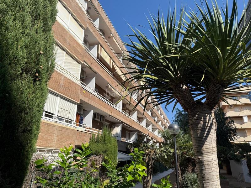 Foto 772e9703-d467-4b23-8b52-5e1d2109e768. Pis a Centre Pineda de Mar