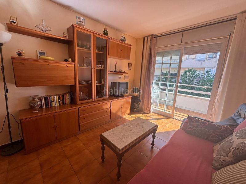 Foto b51b38e9-bc9e-48ac-86c3-10fded571434. Pis a Centre Pineda de Mar