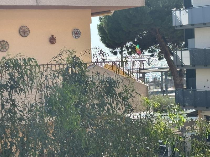 Foto d573cc0a-6706-489b-8b26-3985e761fb82. Pis a Centre Pineda de Mar