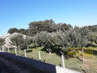 Terreny residencial a Corgo (O). Suelo urbano venta o corgo