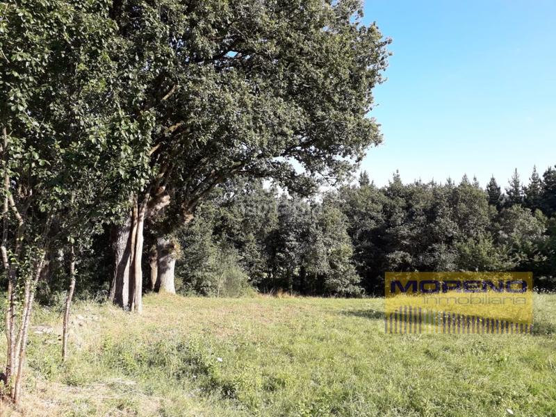 Foto daa3f00d-bd1a-4382-93e0-84922e783b4b. Terreno residenziale in Corgo (O)