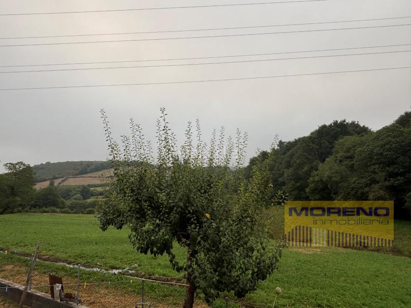 Foto 258a5518-cf04-4a31-a1ee-fa1a8ea09399. Mas avec parking dans Becerreá