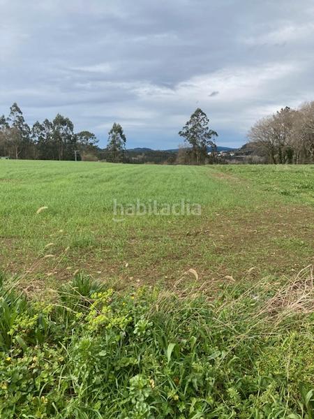 Foto 633bf2b5-d691-4c24-923f-9fba3d8a8a50. Terreny residencial a Laracha