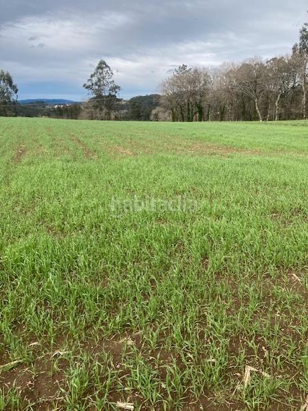 Foto cee37d05-a2f2-45f9-8f66-f53cd72d9c15. Terreny residencial a Laracha