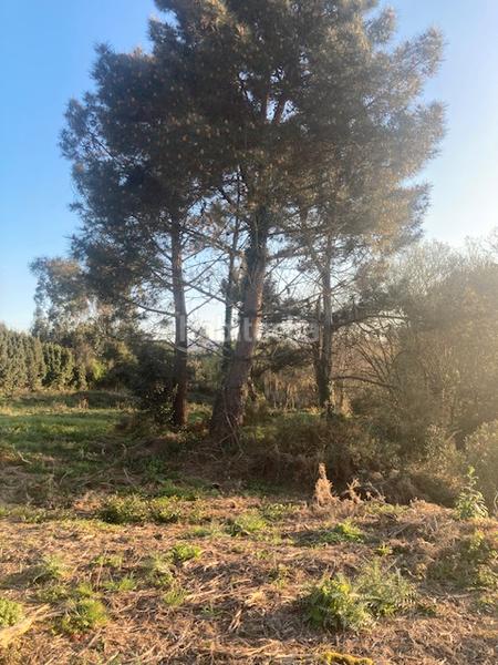 Foto 27682e76-acd8-43c4-9927-da8d593926b0. Fondo rustico in travesía estación 2 in Morás - A Zapateira Arteixo