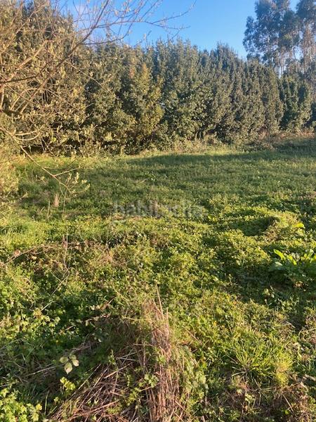 Foto 9d876c8b-e15e-4404-b67f-178aa742614f. Fondo rustico in travesía estación 2 in Morás - A Zapateira Arteixo