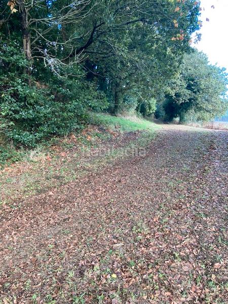 Foto 01b6e385-fe0c-4d78-9645-9224744287a6. Masia a Coristanco