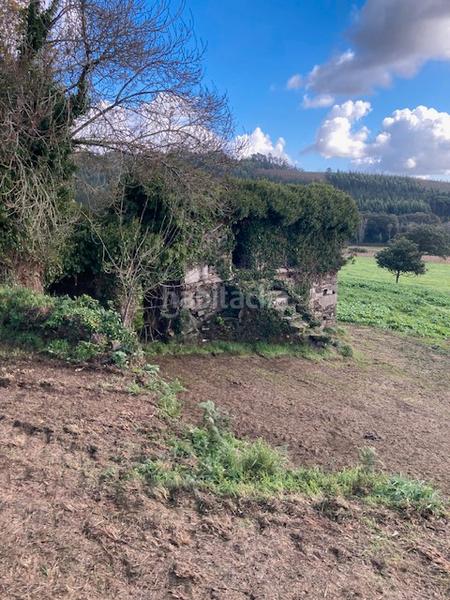 Foto a714c82a-e4b6-400e-bb1b-9f1fde62cf8a. Masia a Coristanco