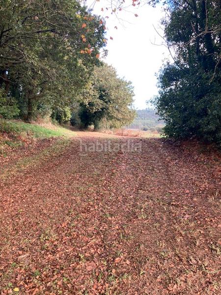 Foto a74f00a9-54c7-40a0-af7d-3747aaef6bf3. Masia a Coristanco