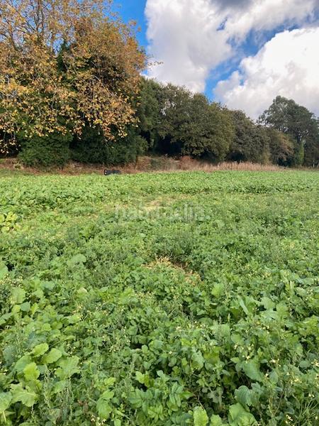 Foto c0b12f2a-62b6-485e-ba1a-782364513c60. Masia a Coristanco