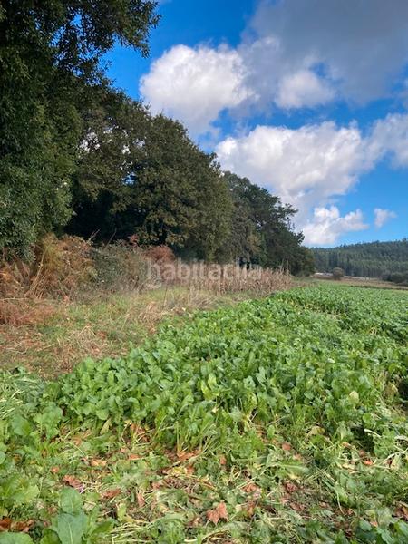 Foto f26dd804-1d49-45e9-92a5-e2257c7b6442. Masia a Coristanco