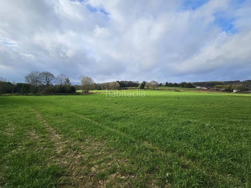 Foto 0254916f-7d05-417f-b0a9-c73abc05843a. Mas dans Abegondo