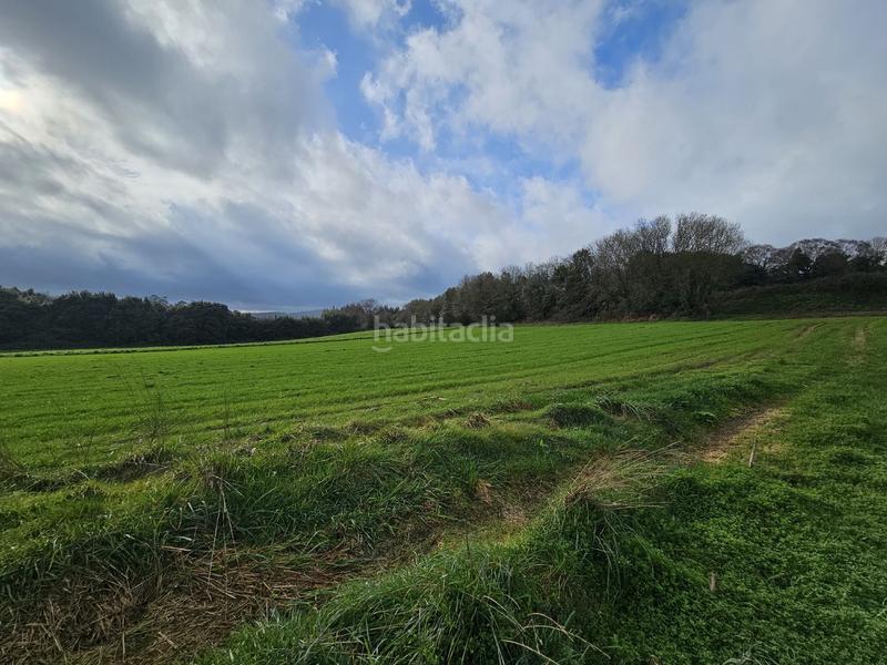 Foto 41d39baa-3a82-4750-bc3e-2d55cae77f4f. Mas dans Abegondo