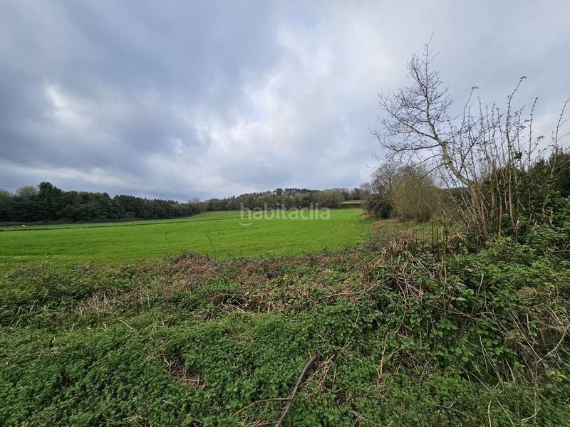 Foto 80754049-ca57-4083-8b9f-ed0132056db9. Mas dans Abegondo