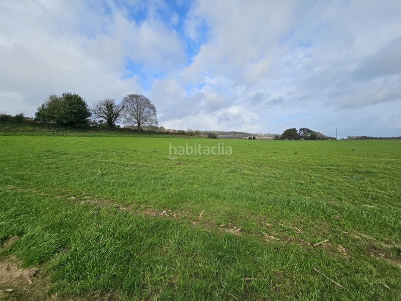 Foto 80e3d46f-fbcd-40cc-b8ee-b7f8765fbe9e. Mas dans Abegondo