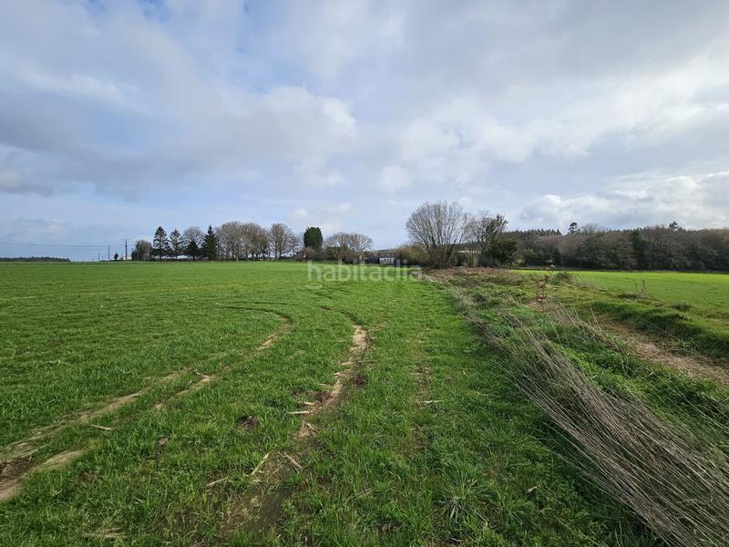 Foto 8ca232b7-16ea-4880-be13-a7ebdf9b0168. Mas dans Abegondo