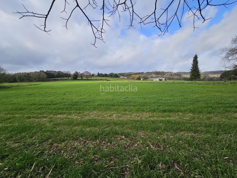 Foto 982760ae-6f69-45d0-af1a-452d0d675d39. Mas dans Abegondo