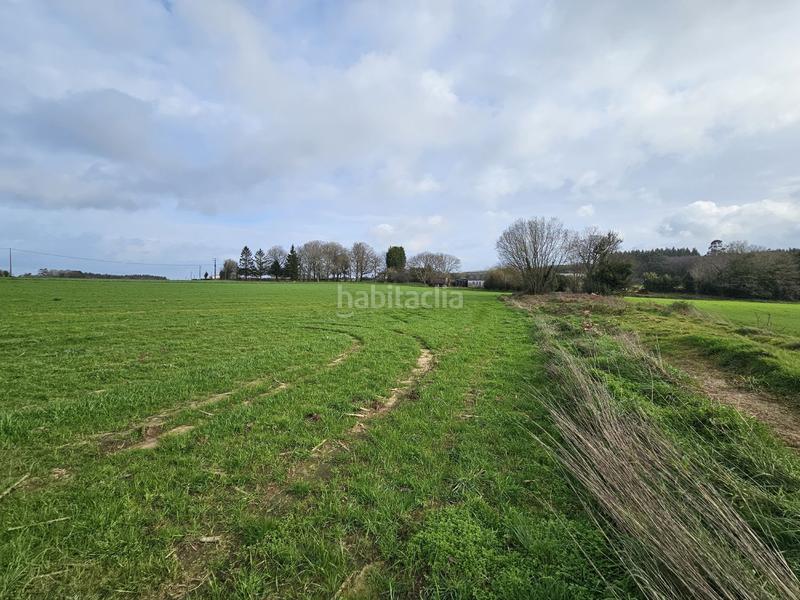 Foto dae23f9c-c4dd-4590-8410-1d5181b99c1b. Mas dans Abegondo