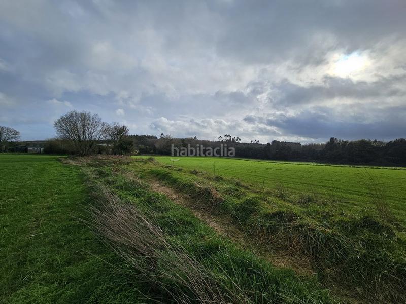 Foto e9a13145-45d7-4d4b-b4ed-54a5f84cbef0. Mas dans Abegondo