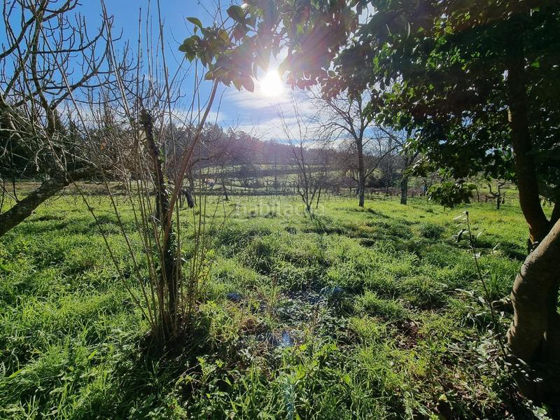 Foto 1c638a50-b809-4041-8486-2167a0d88665. Maison dans Teo