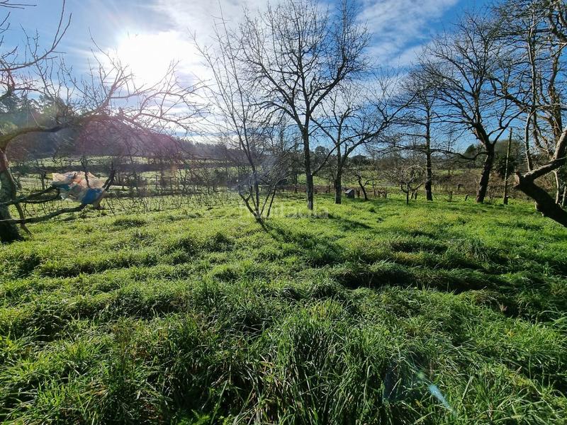 Foto b091910a-cf0d-45ce-ada2-269b67d58cb8. Maison dans Teo