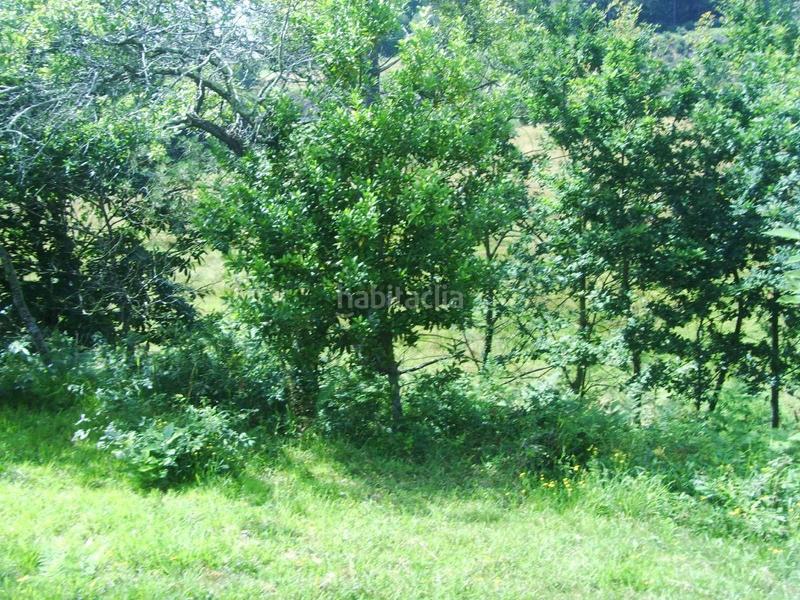 Foto 932d6499-1831-4f65-a943-22f158e79530. Casa in Abegondo