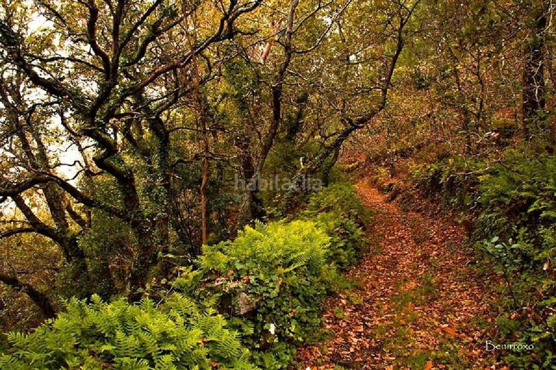 Foto 76852438-a4af-40d1-9073-56a8aa27c722. Casa a Muros