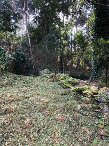 Foto f4ca13f6-b6e6-4877-a222-6f246a69deb2. Casa a Muros