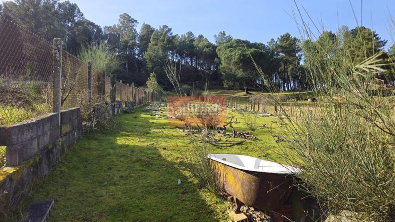 Foto 34bf2f05-7fc2-44fa-8959-119bded14719. Terreno residencial en San Cibrao das Viñas