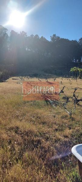 Foto c011b8d5-5310-4b40-946d-4ece83e39fc3. Terreno residencial en San Cibrao das Viñas
