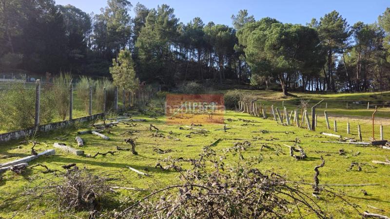 Foto ce14309e-9a5f-4f85-94bf-1bb0063fd940. Terreno residencial en San Cibrao das Viñas