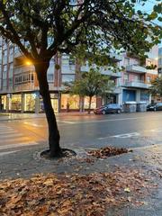Local Comercial en Ervedelo