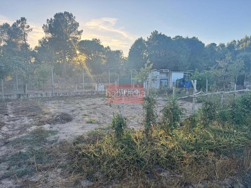 Foto a144a410-aa10-48cc-9434-04b83d4c8a76. Fondo rustico in Mariñamansa Ourense