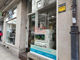 Business premise in Centro