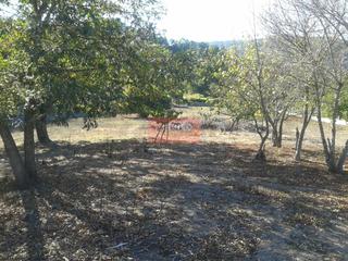 Terreno residencial en San Rosendo