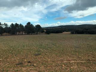 Finca rústica en Peñascosa. Finca rustica en la provincia de albacete