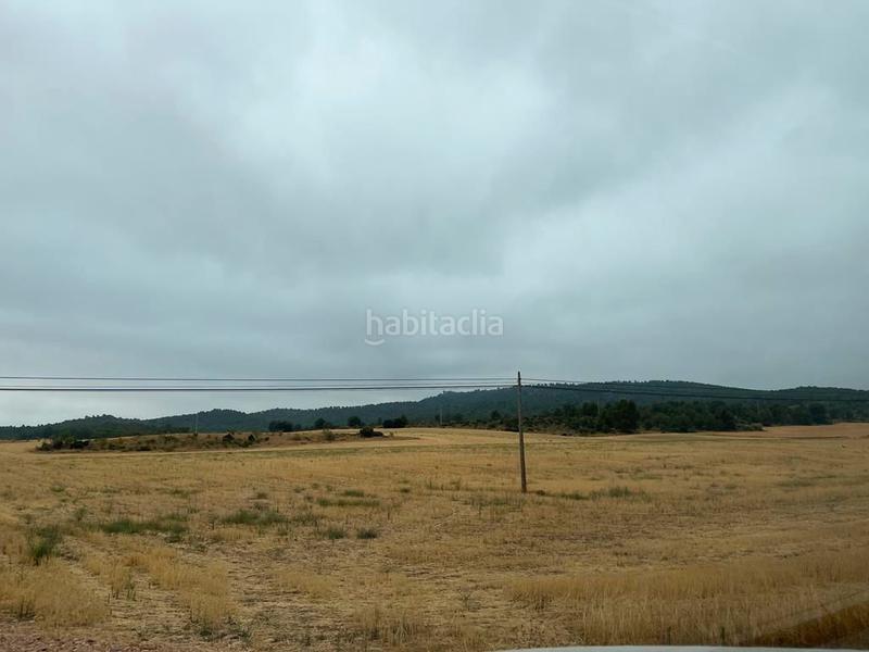 Foto 322cbbbd-0cf4-47bd-98a6-c76f77803f56. Finca rústica a Peñas de San Pedro