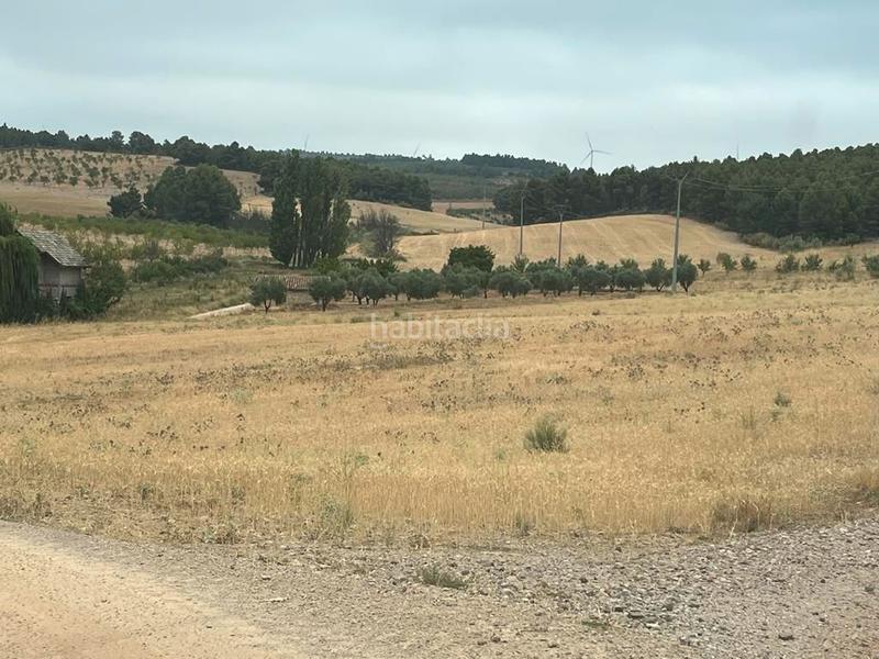 Foto 392a0a72-def6-4b61-b03a-addeda1ccdbf. Finca rústica a Peñas de San Pedro