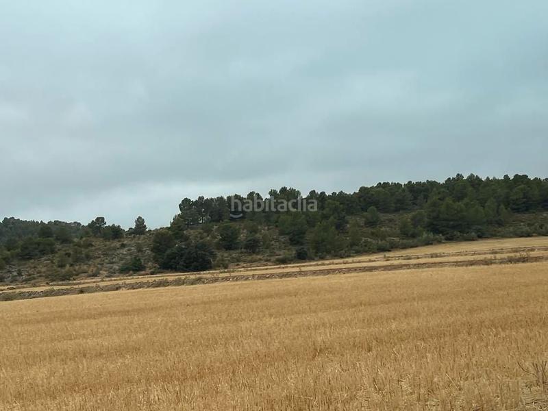 Foto 44025c9d-c852-41b7-87a9-ff3c4baf2d92. Finca rústica a Peñas de San Pedro