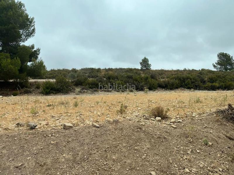 Foto 569842ae-fbdd-485b-a646-e946c50db6db. Finca rústica a Peñas de San Pedro