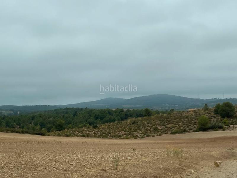 Foto 7cf92064-9ce1-47f1-95dc-12589ba8db10. Finca rústica a Peñas de San Pedro