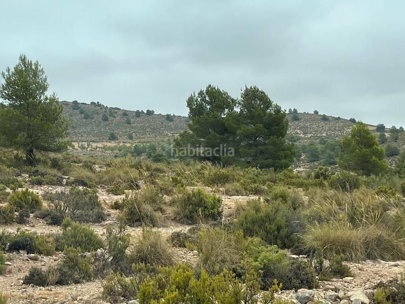 Foto a11eddfc-eb4f-478c-bed0-7effe779fc73. Finca rústica a Peñas de San Pedro