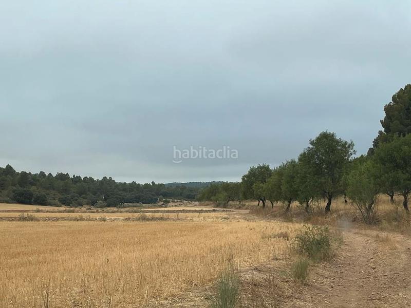 Foto b82d3818-ace1-4eda-a433-4e8bd292587f. Finca rústica a Peñas de San Pedro