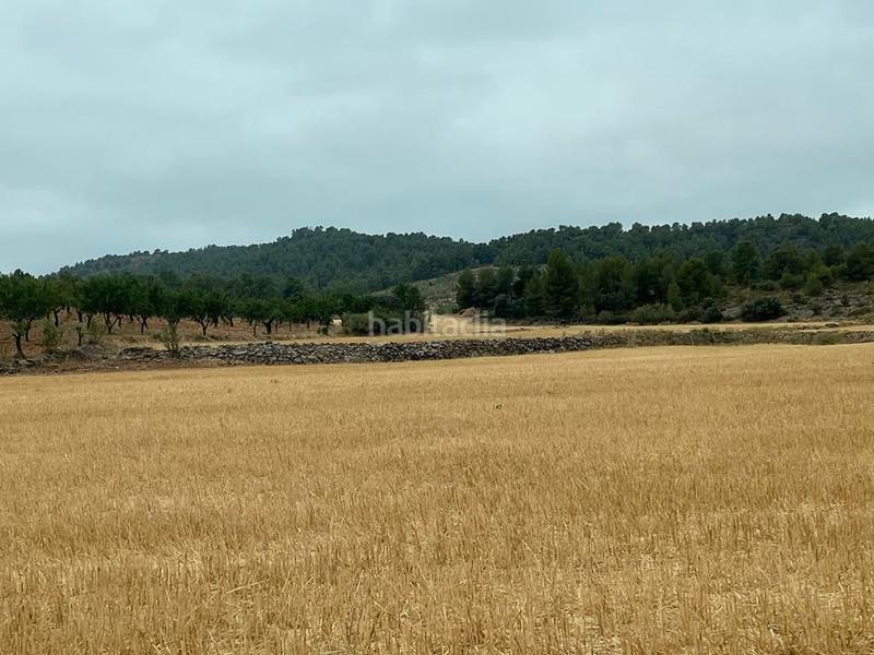 Foto c3ad73c9-f56c-4b6e-994d-75c159a31e64. Finca rústica a Peñas de San Pedro